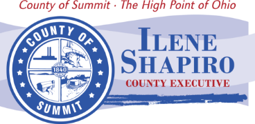 Ilene Shapiro County Executive